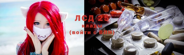 стафф Богородск