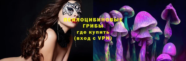 МДМА Богородицк