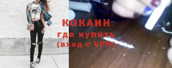 стафф Богородск