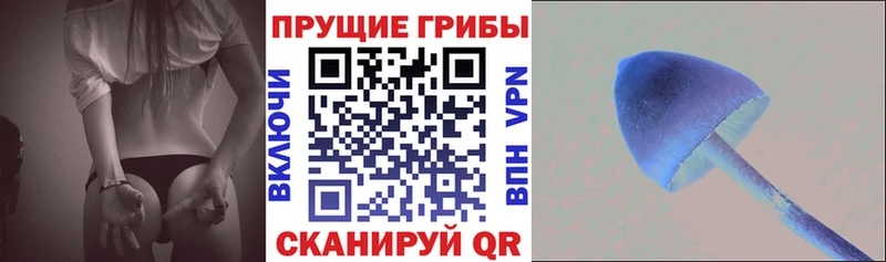 ОМГ ОМГ рабочий сайт  Мончегорск  Псилоцибиновые грибы прущие грибы 